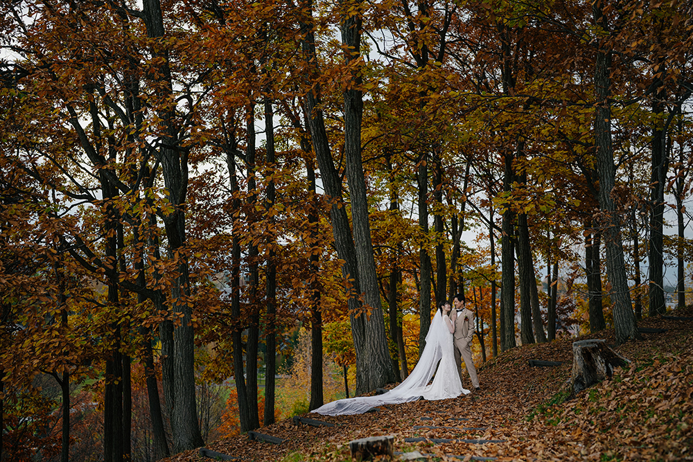 北海道・秋の前撮り/フォトウェディングのロケーション撮影 | 紅葉とドレスショット。