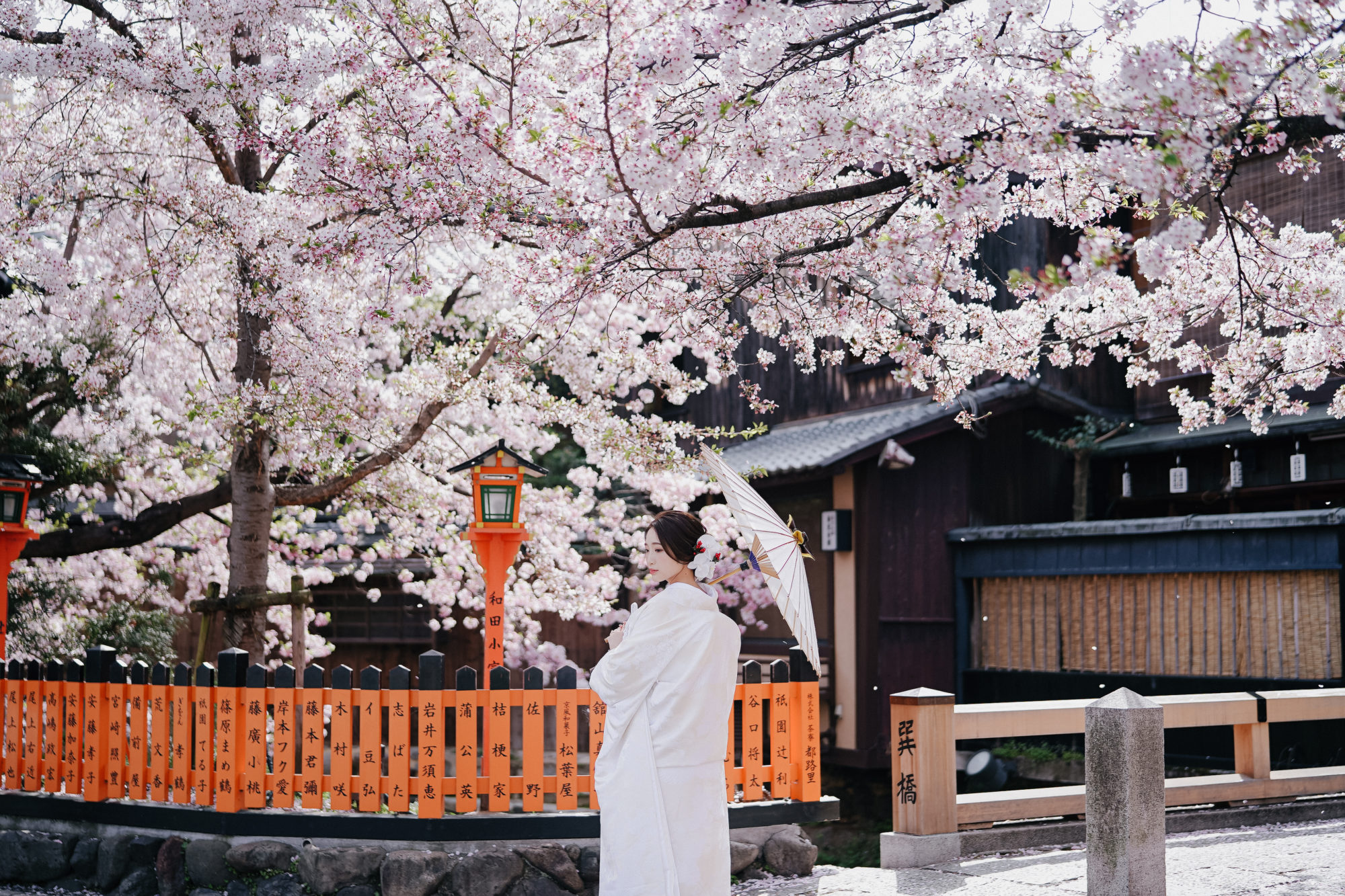 人気の前撮りロケーション「京都祇園」で、欄干と桜の前撮り/フォトウェディング。