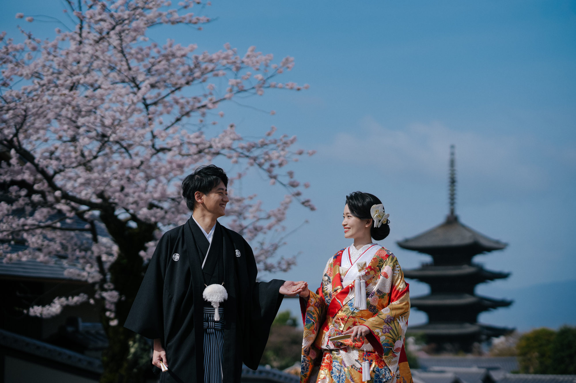 おすすめの八坂で、桜と五重の塔を背景に、和装での前撮りする様子