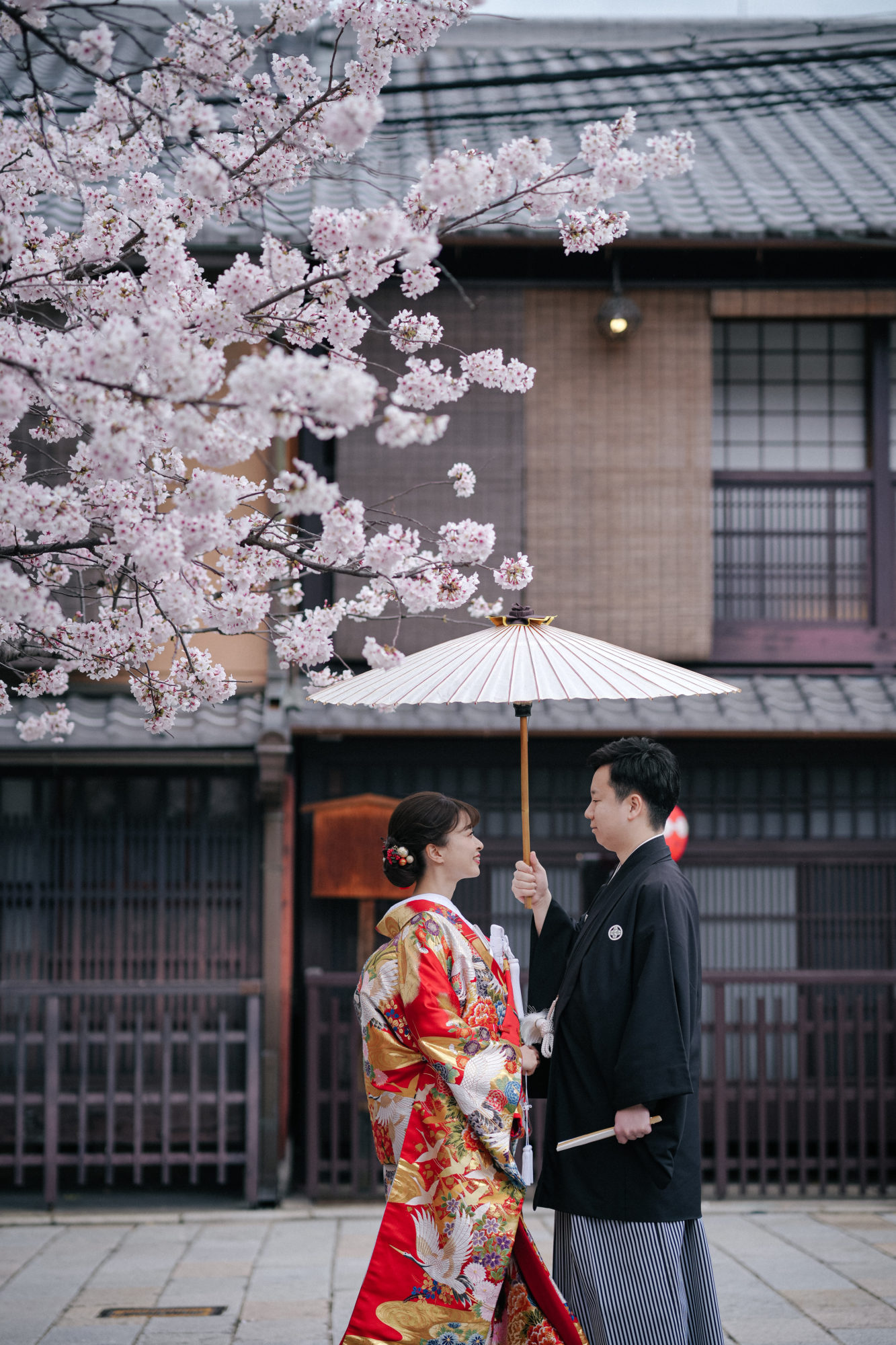 桜の下、番傘をさした和装の新郎新婦が前撮りを行う様子。