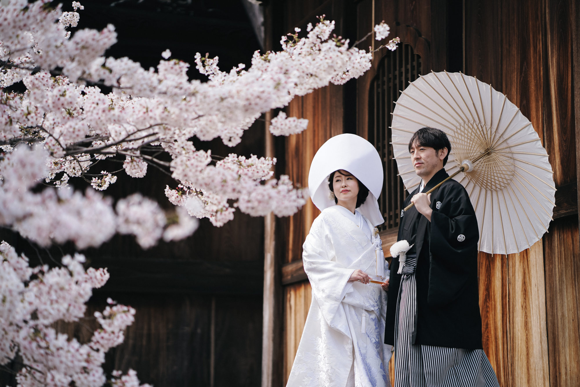 京都「金戒光明寺」で桜での和装ウェディングフォト。