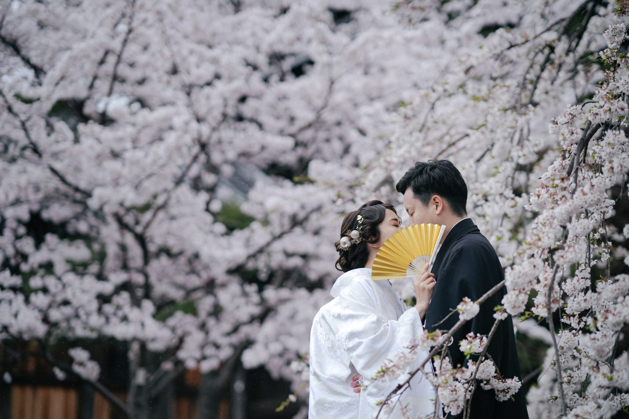 おすすめの京都のお寺「金戒光明寺」で桜を背景にした前撮り。