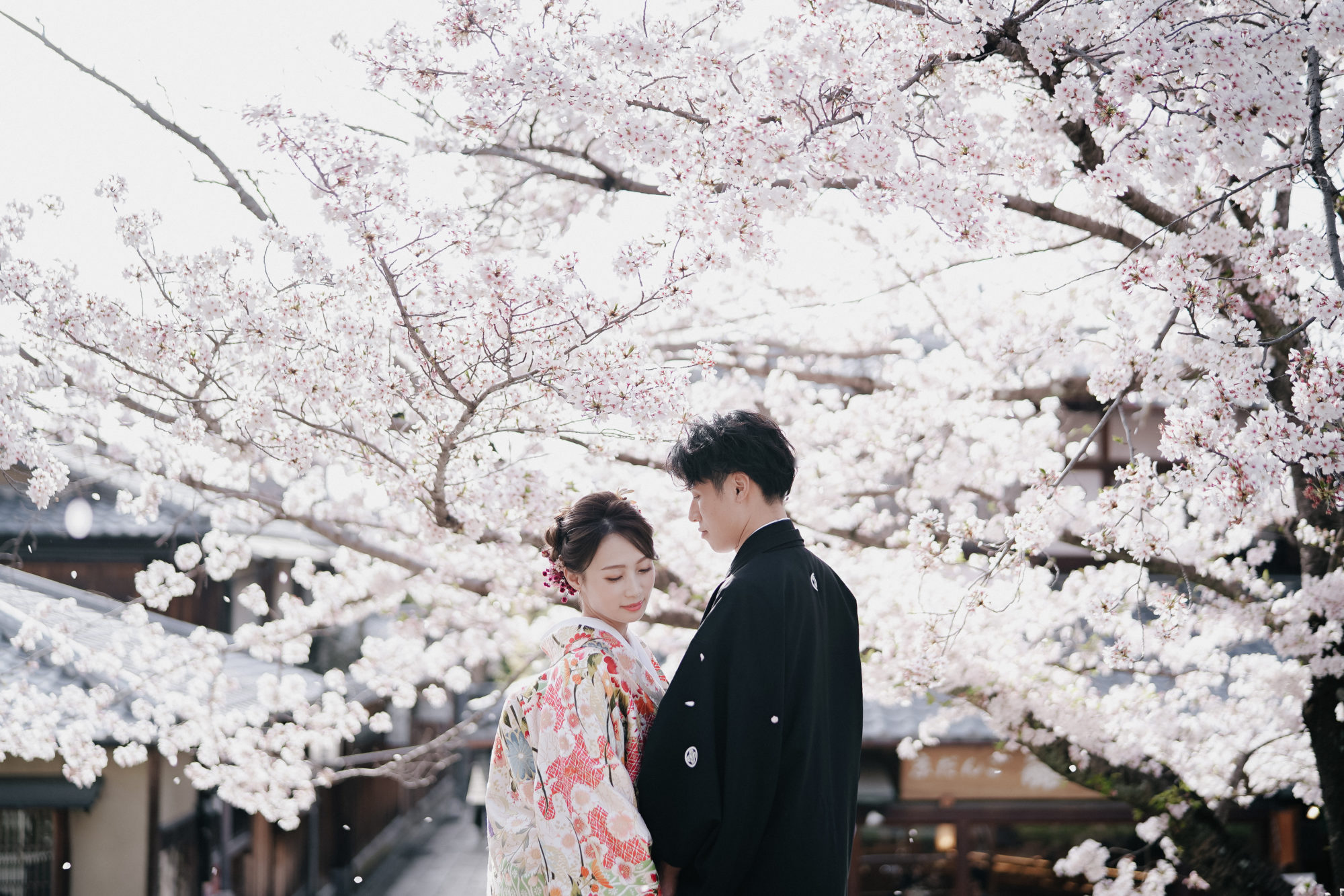 おすすめの「京都八坂」での前撮り。満開の桜が美しいウェディングフォト。