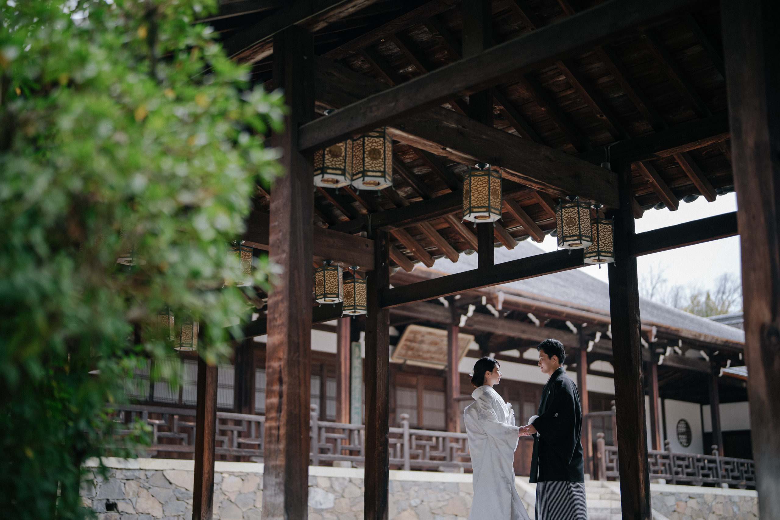 萬福寺内には、緑を使った撮影が可能なスポットもある。