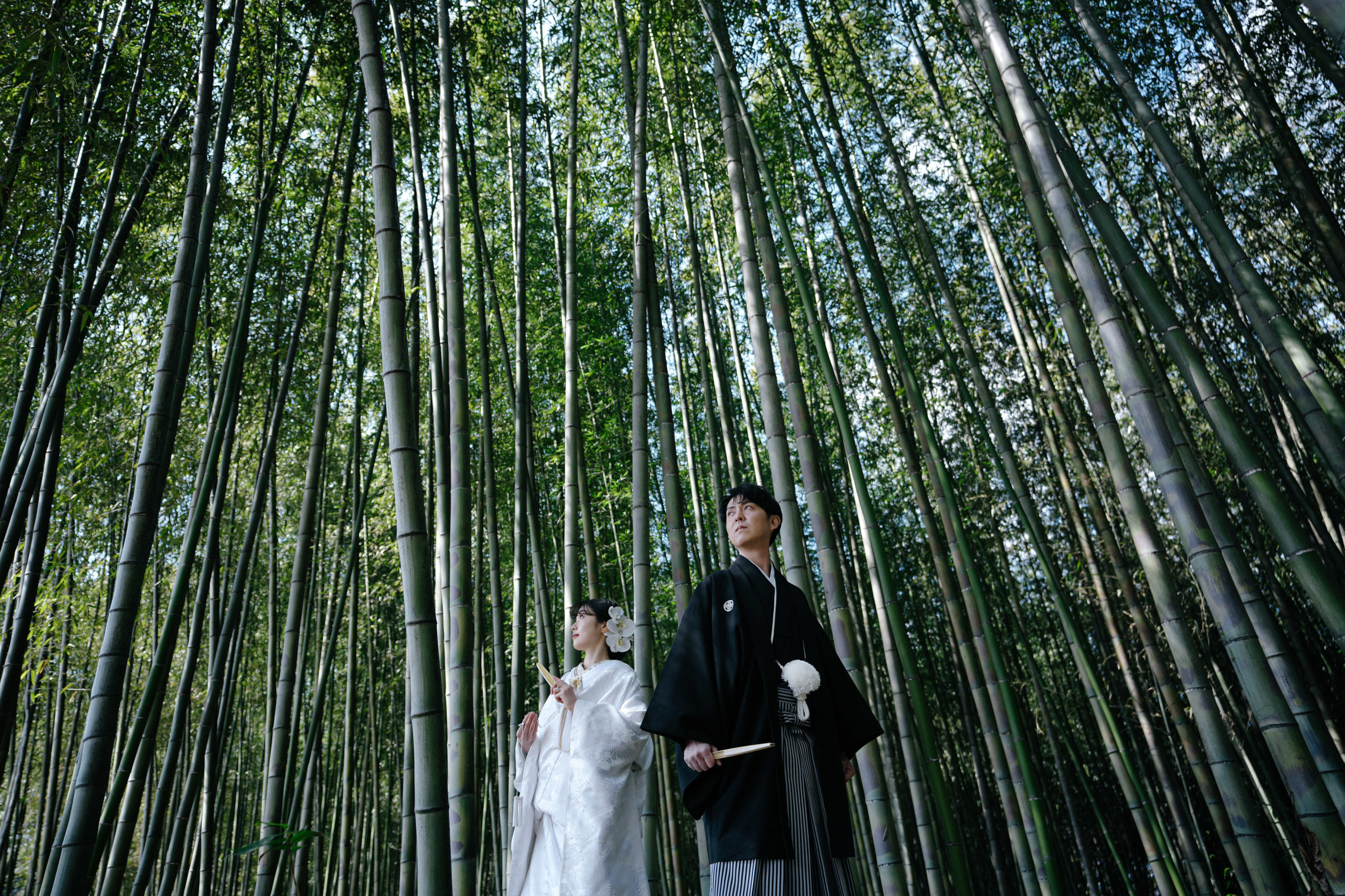 大覚寺の竹林は、冬でも緑の前撮りが可能。