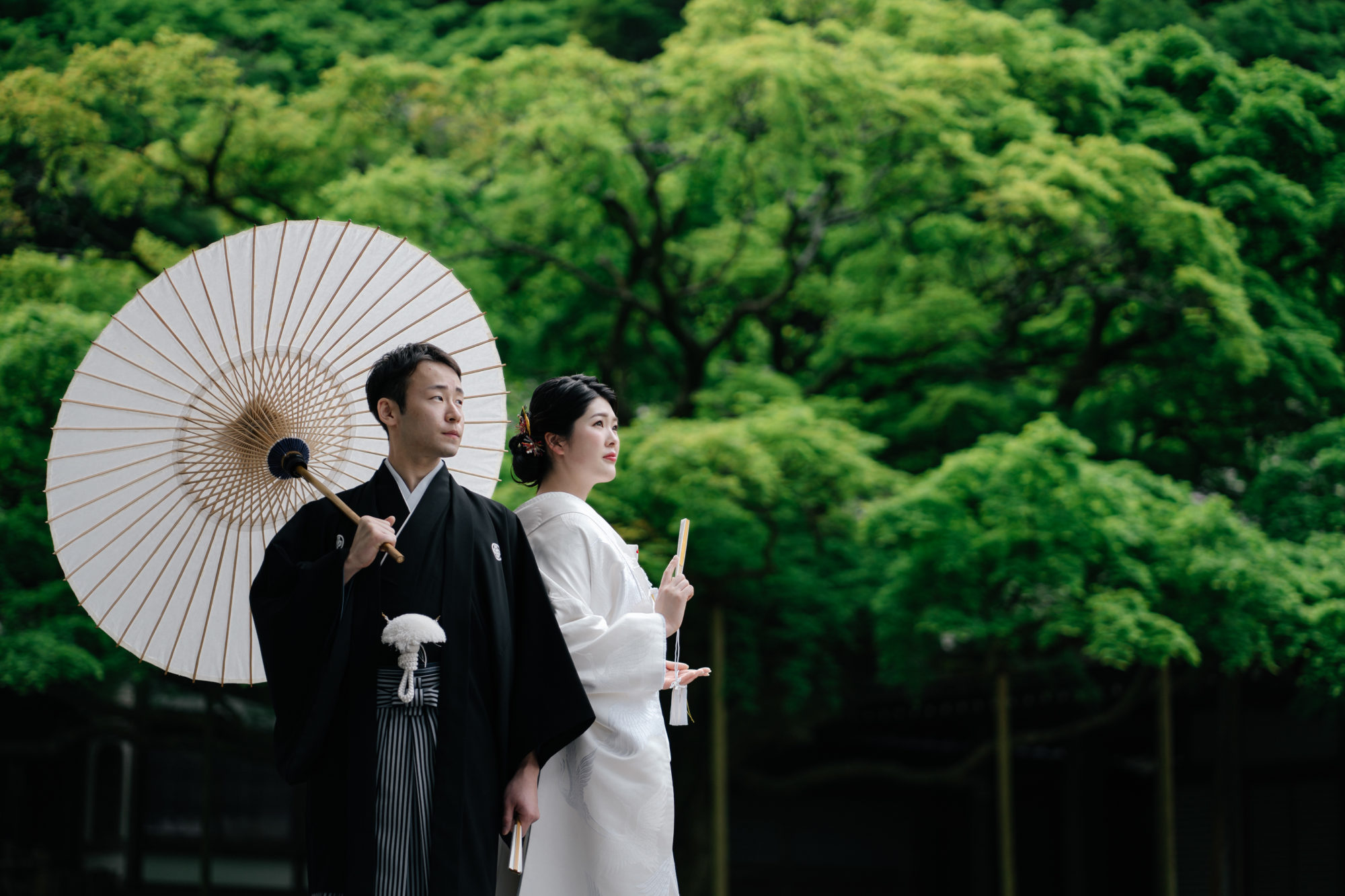 福岡・千如寺の前撮り/フォトウェディングのロケーション撮影 | 新緑が豊かな大楓の木をバックに。