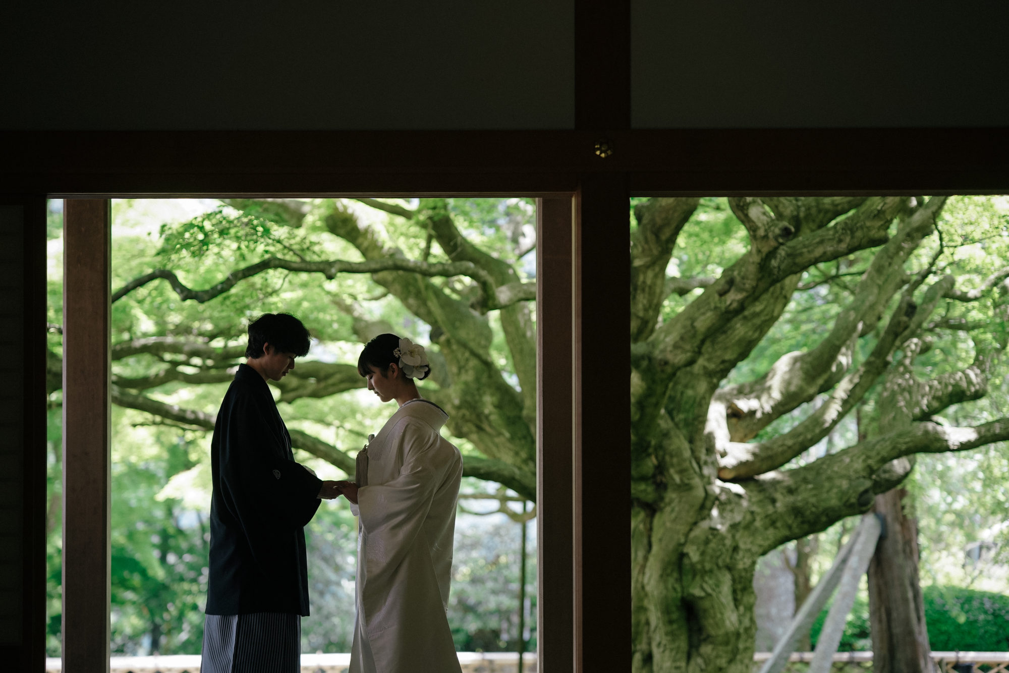 福岡・千如寺の前撮り/フォトウェディングのロケーション撮影 | 大カエデをバックに。