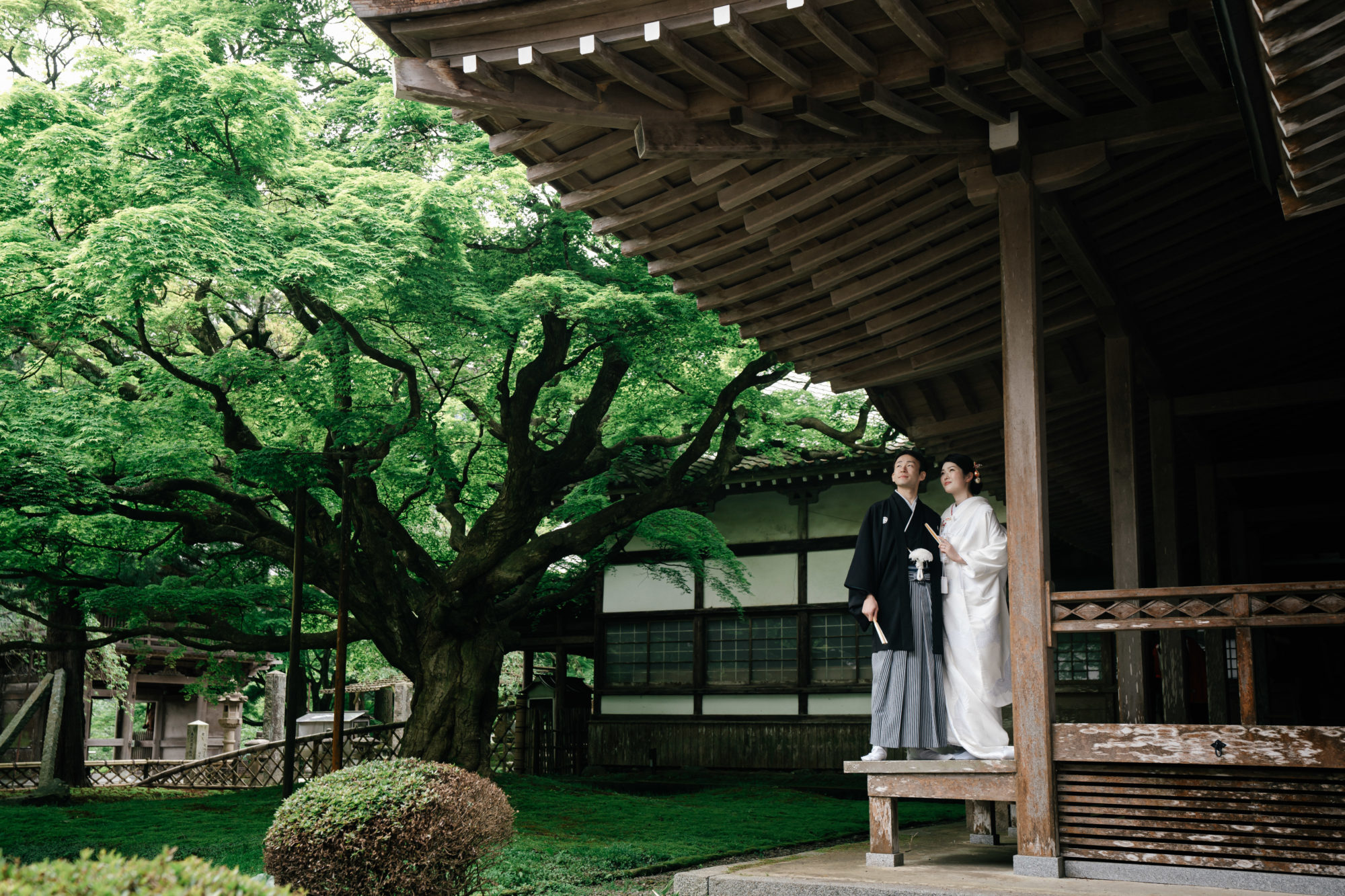 福岡・千如寺の前撮り/フォトウェディングのロケーション撮影 | 雷山千如寺の大楓と共に和装前撮り。
