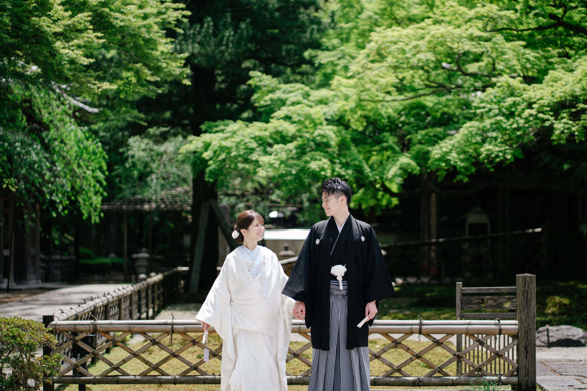 福岡・千如寺の前撮り/フォトウェディングのロケーション撮影 | 新緑の大楓の木がシンボルの糸島の雷山千如寺。