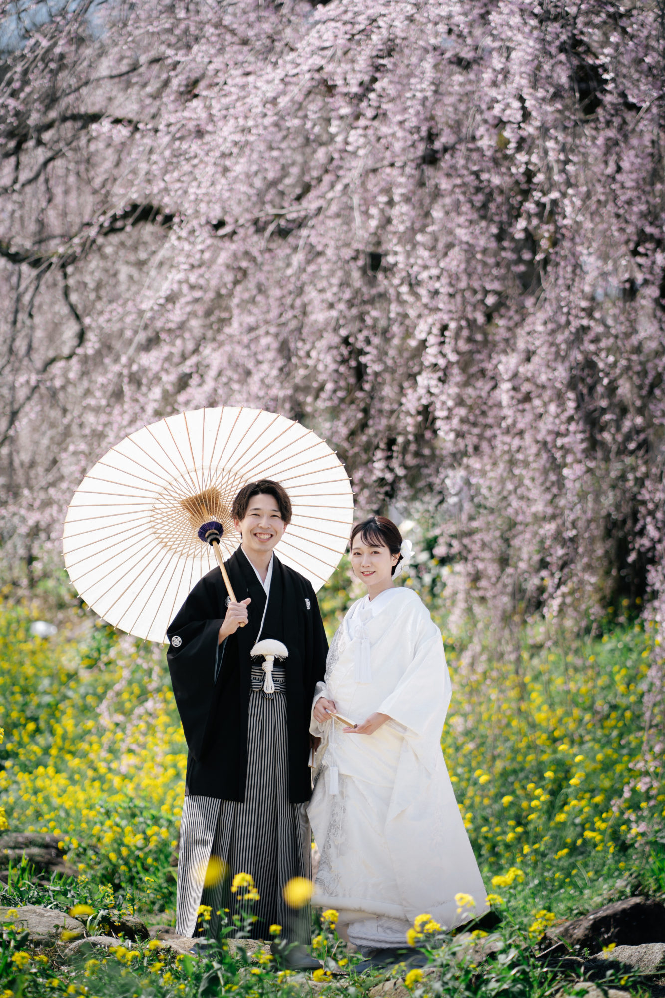 福岡・うきは市の桜の前撮り/フォトウェディングのロケーション撮影 | 福岡・うきは市にある枝垂れ桜と和装前撮り。