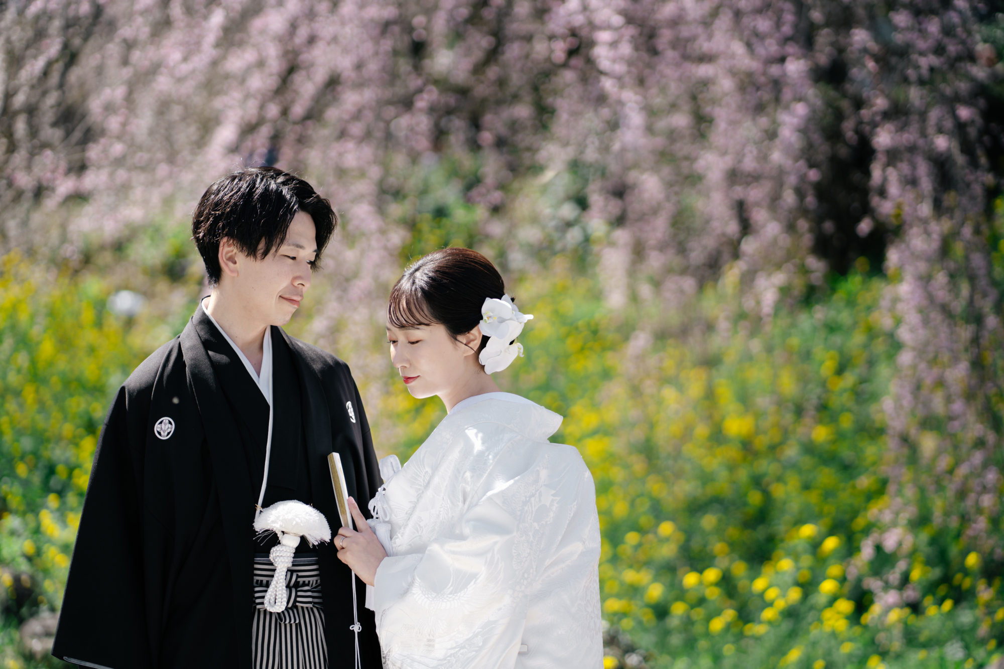 福岡・うきは市の桜の前撮り/フォトウェディングのロケーション撮影 | ピンクが色濃い早咲きの枝垂れ桜。