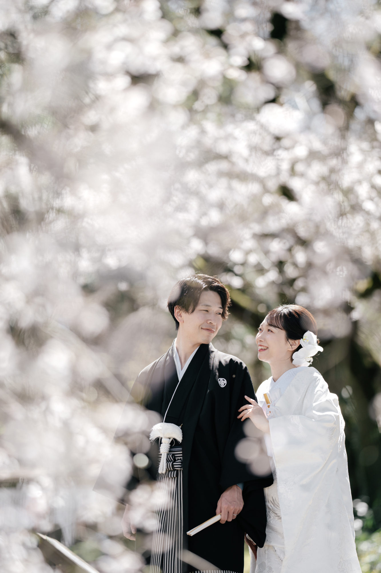 福岡・うきは市の桜の前撮り/フォトウェディングのロケーション撮影 | 桜の花びらに囲まれての和装前撮り。