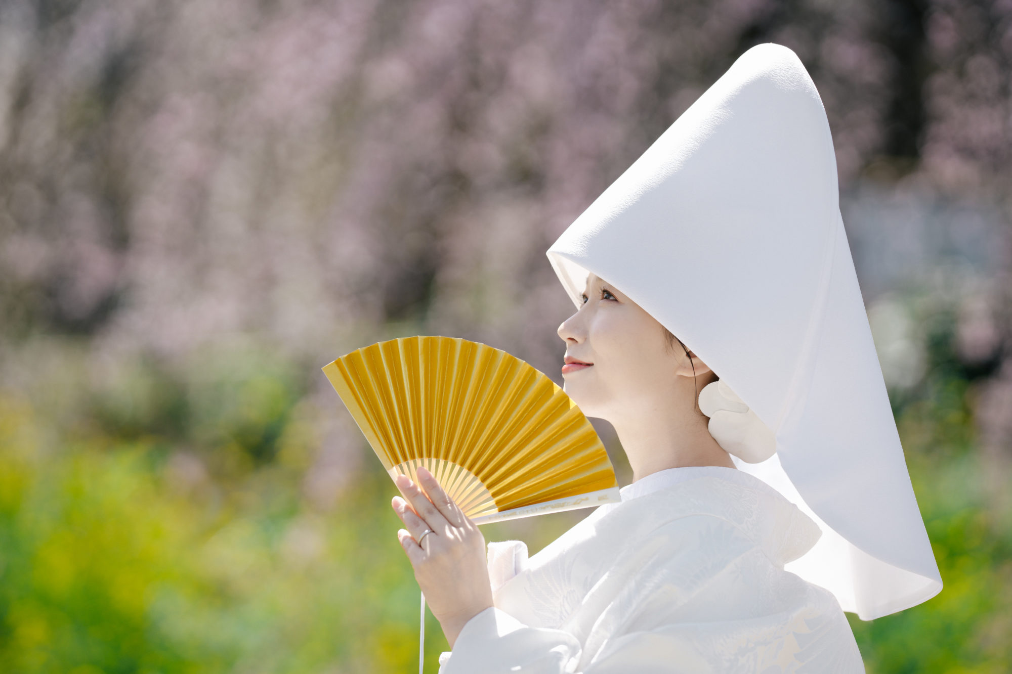 福岡・うきは市の桜の前撮り/フォトウェディングのロケーション撮影 | 綿帽子と桜の愛称は抜群です。