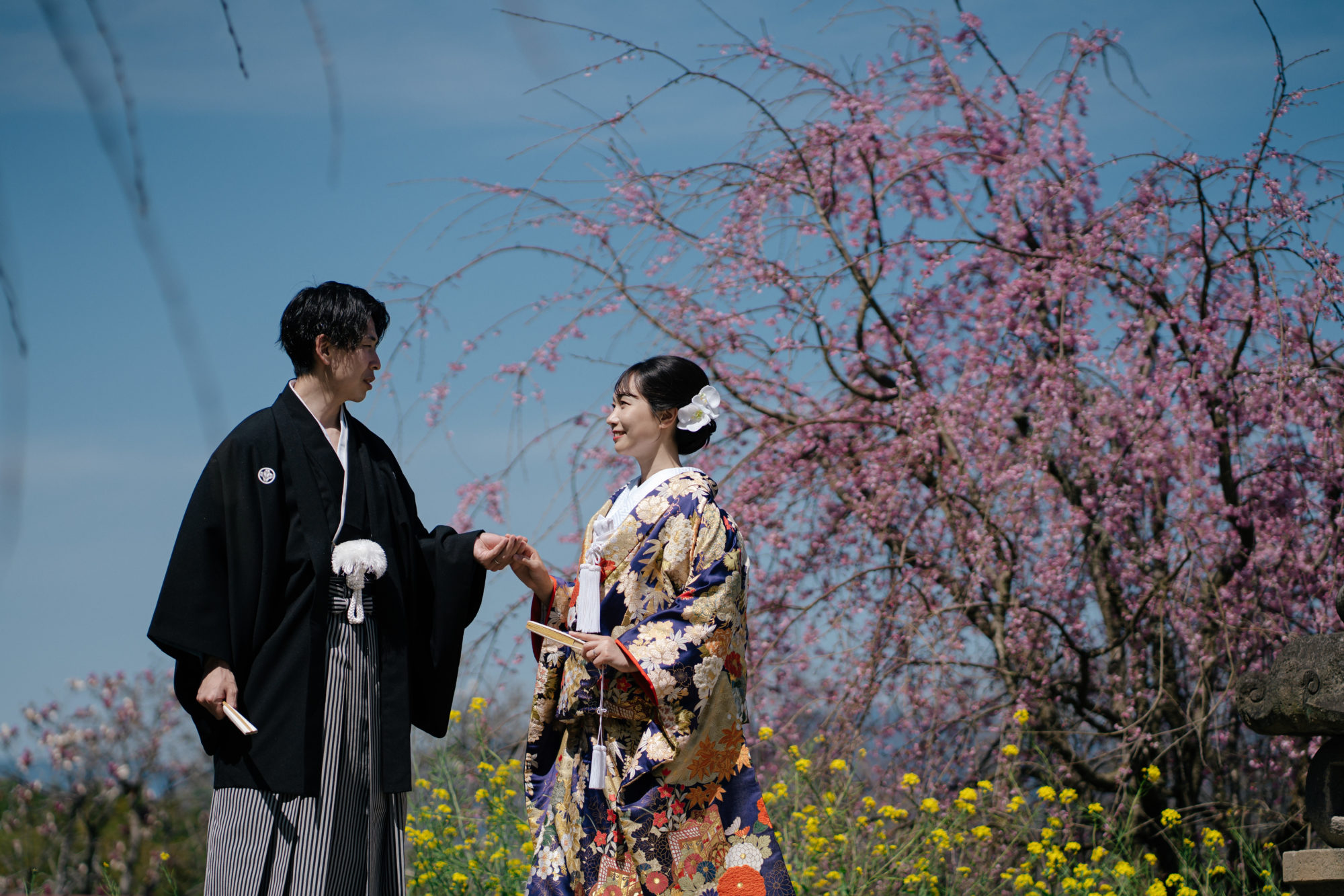 福岡・うきは市の桜の前撮り/フォトウェディングのロケーション撮影 | 色打ち掛けで早咲きの桜との和装前撮り。