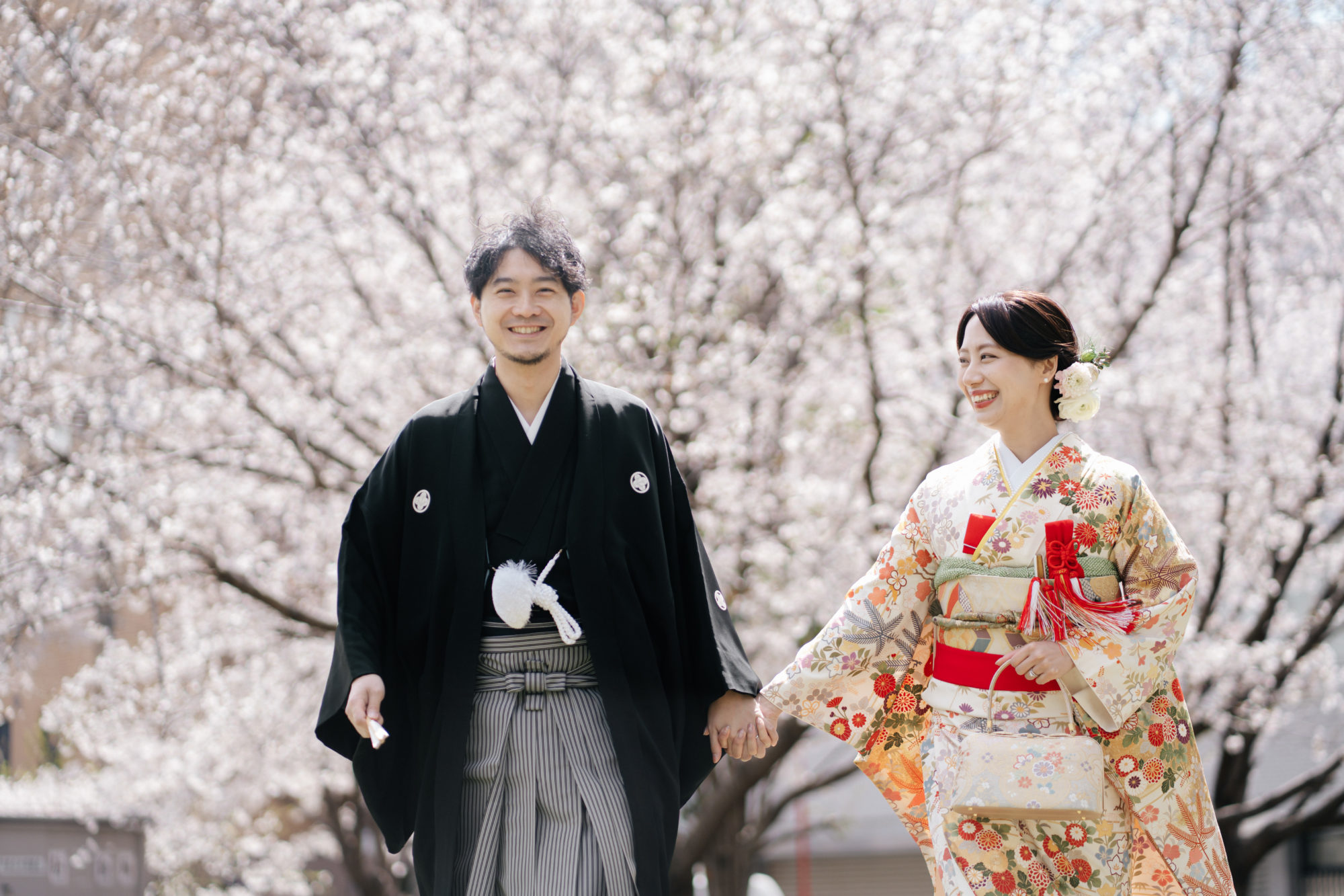 福岡・桜の並木道の前撮り/フォトウェディングのロケーション撮影 | 和装と相性が良い桜での前撮り。