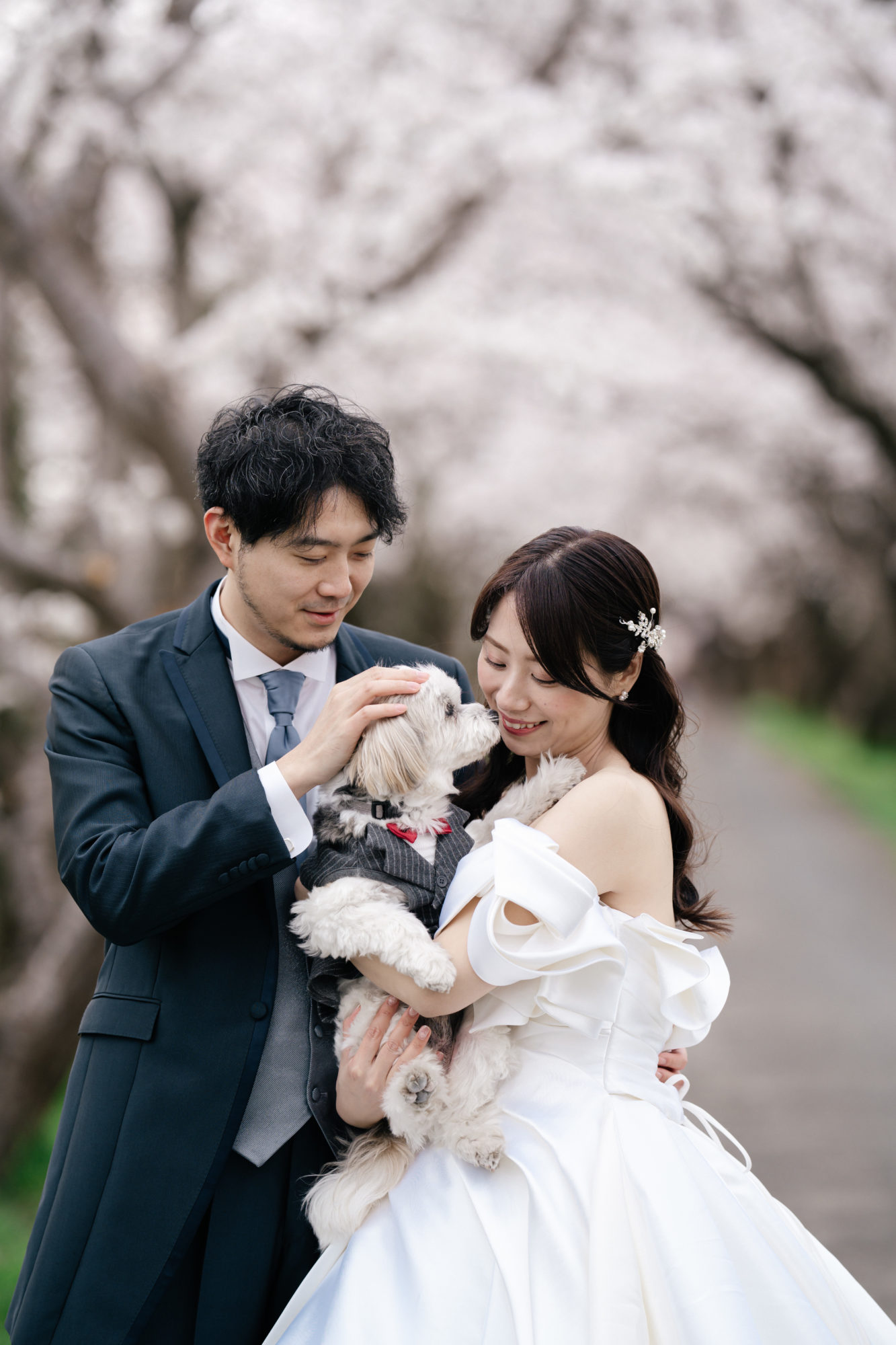 福岡・桜の並木道の前撮り/フォトウェディングのロケーション撮影 | 愛犬と桜並木で前撮り。