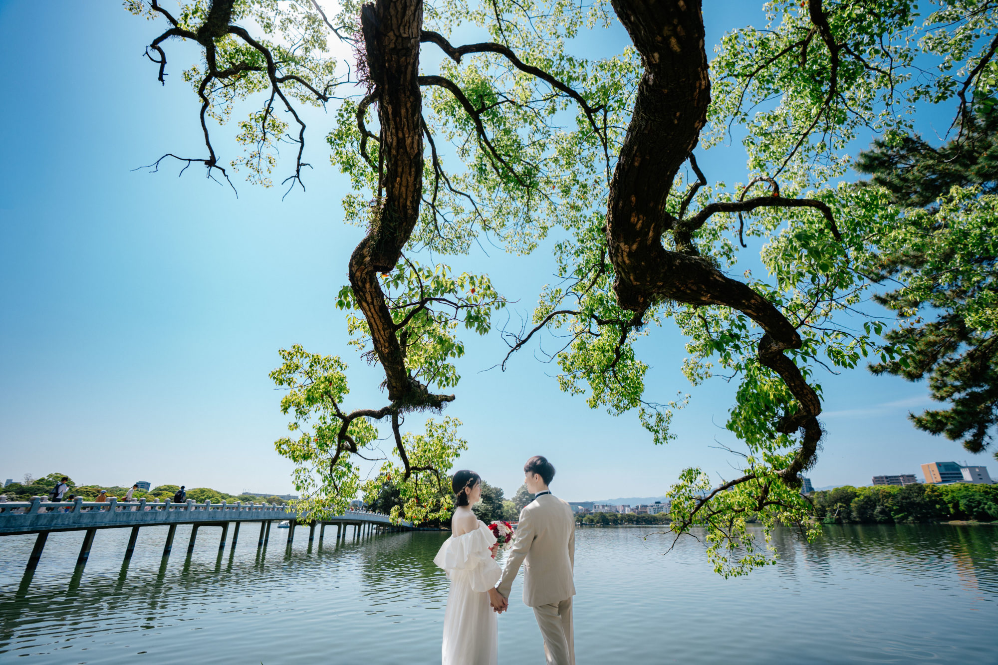 福岡・大濠公園の前撮り/フォトウェディングのロケーション撮影 | 都会のど真ん中にある自然溢れる公園でのロケーションフォト。