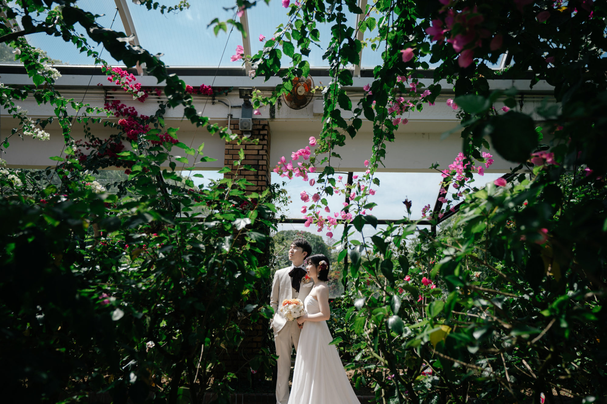 福岡・植物園の前撮り/フォトウェディングのロケーション撮影 | 温室が広大な福岡の植物園。